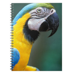 Caderno Espiral América do Sul, Brasil, Parque Nacional do Iguaçu,