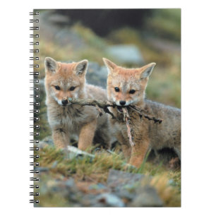 Caderno Espiral América do Sul, Chile, Nacional Torres del Paine