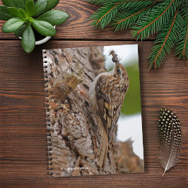 Caderno Espiral American Treecreeper com Inseto
