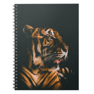 CADERNO ESPIRAL AMIGO ADULTO DE TIGER PRONE LYING DENTRO DIM ROOM