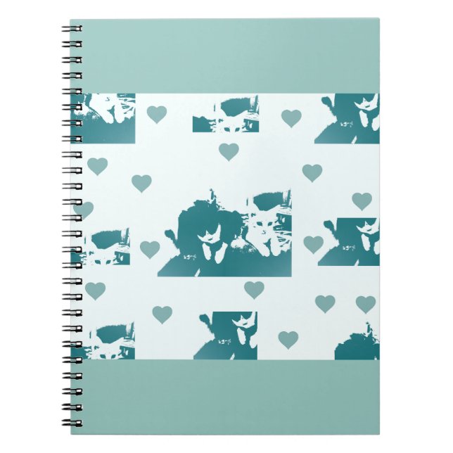 Caderno Espiral Amigos Felinos. (Frente)