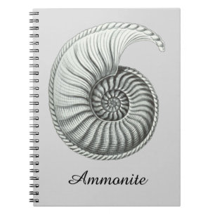 Caderno Espiral Amonite