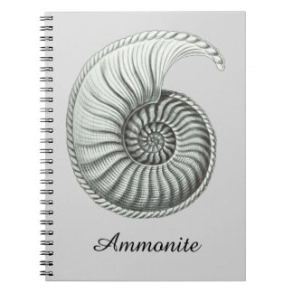Caderno Espiral Amonite