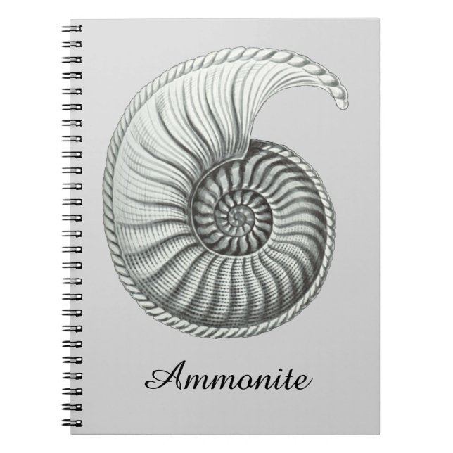 Caderno Espiral Amonite (Frente)