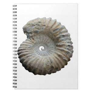 Caderno Espiral amonite