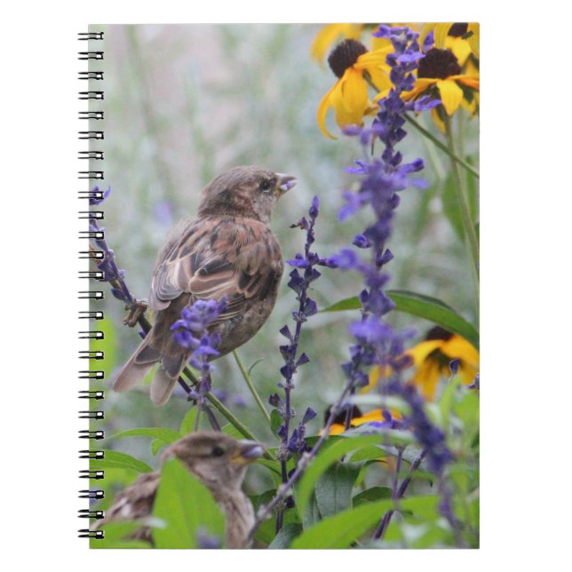 Caderno Espiral Amor À Natureza (Frente)