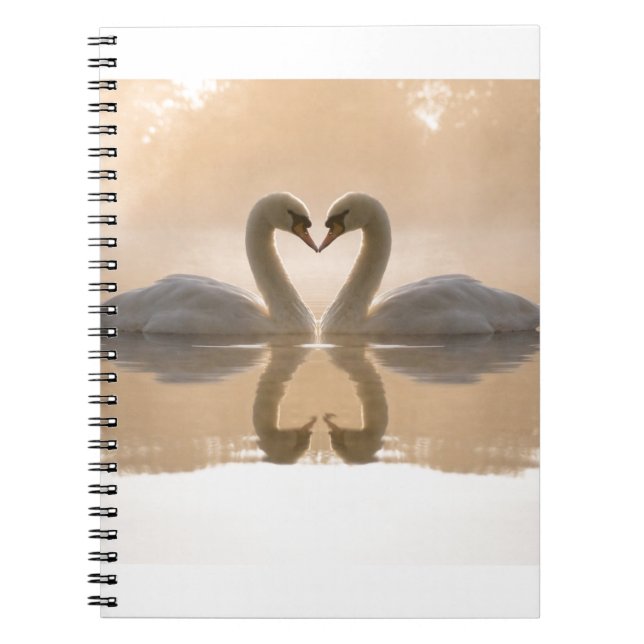 Caderno Espiral Amor da cisne (Frente)