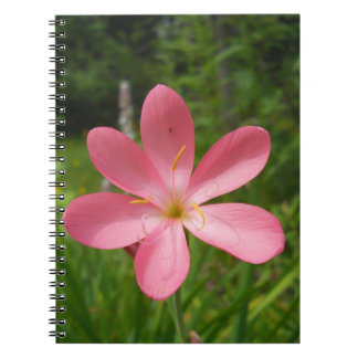 Caderno Espiral Amor Rosa