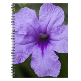 Caderno Espiral Anã Roxa Petunia Mexicana