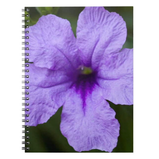 Caderno Espiral Anã Roxa Petunia Mexicana (Frente)