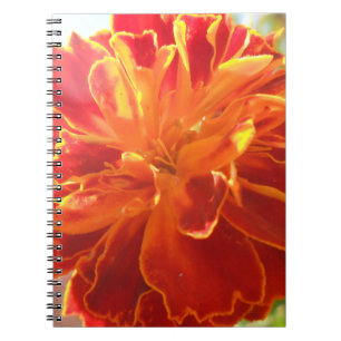 Caderno Espiral Anastelino