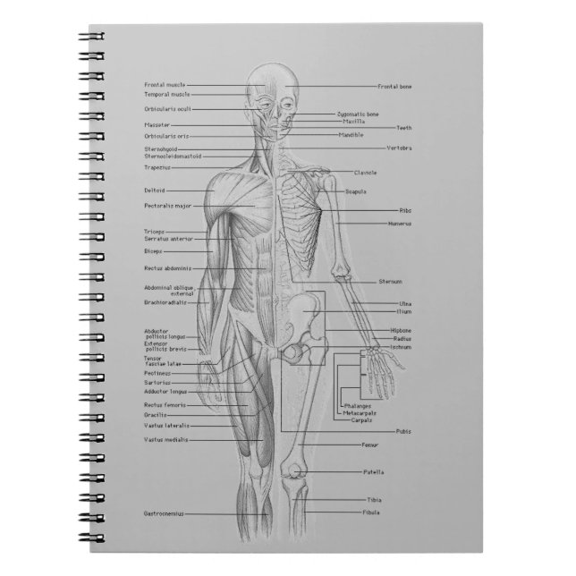 Caderno Espiral Anatomia cinzenta (Frente)