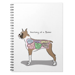 Caderno Espiral Anatomia de presentes de um cão do pugilista