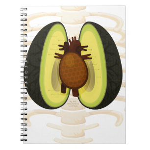Caderno Espiral Anatomia de um abacate