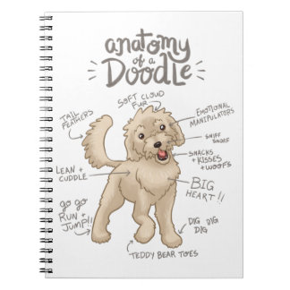 Caderno Espiral Anatomia de um Cachorro de Dodle