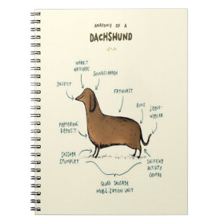 Caderno Espiral Anatomia De Um Dachshund | Pássaros De Cães Dachsh