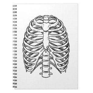 Caderno Espiral Anatomia Detalhada da Caixa Torácica em Linha de A