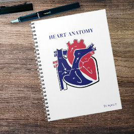 Caderno Espiral Anatomia do Coração-