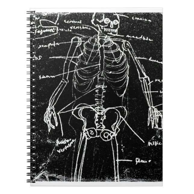 Caderno Espiral anatomia do esqueleto humano yaie tokyo (Frente)