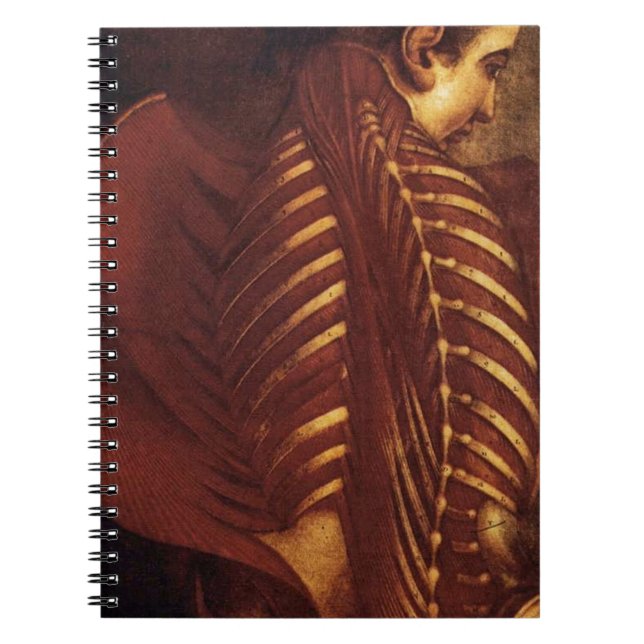 Caderno Espiral Anatomia/Esqueleto da Mulher (Frente)