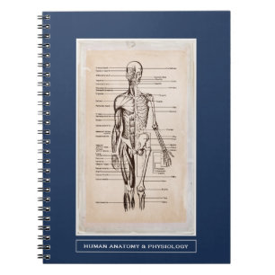Caderno Espiral Anatomia & fisiologia humanas personalizadas