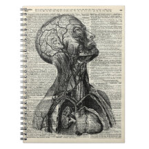 Anatomia humana médica