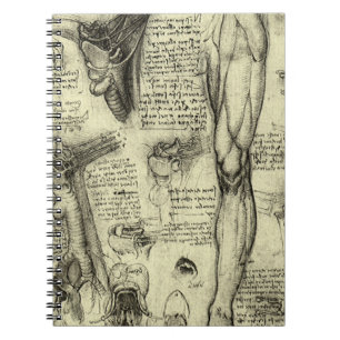 Caderno Espiral Anatomia Humana Vintage Laringe Perna Leonardo da 