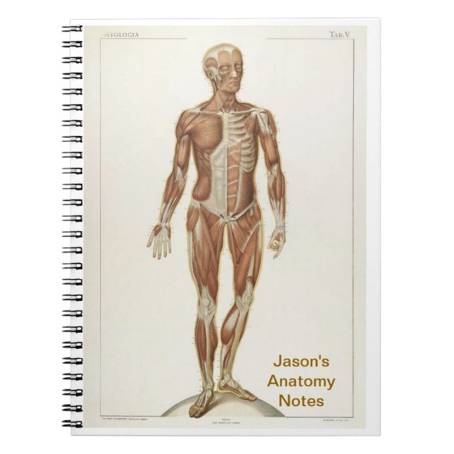 Caderno Espiral Anatomy Anterior (Frente)