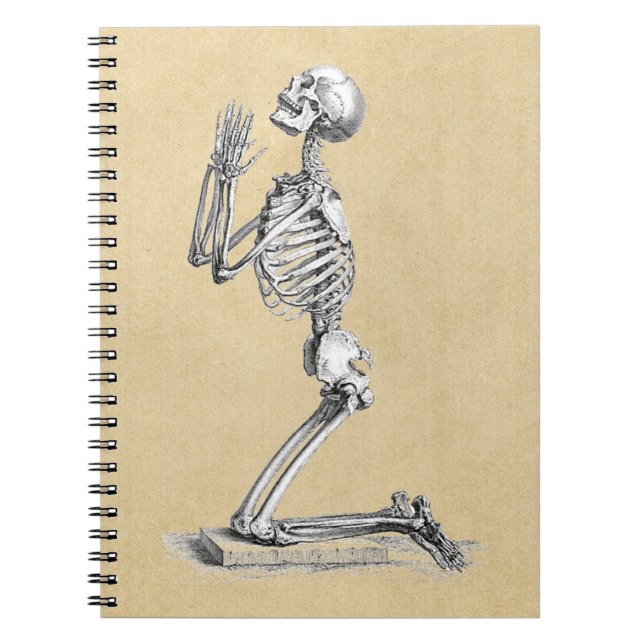 Caderno Espiral Anatomy Skeleton Illustration (Frente)
