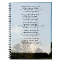 Andei pelo notebook Road Poem