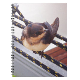 Caderno Espiral Andorinha-do-mar Migrando de Iate