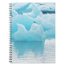 Andorinhas-do-mar de Jökulsárlón