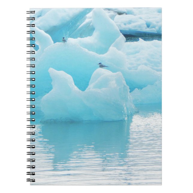 Caderno Espiral Andorinhas-do-mar de Jökulsárlón (Frente)