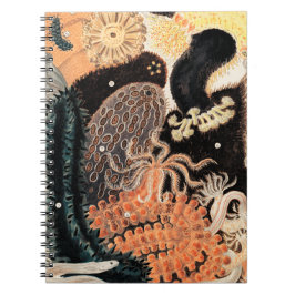 Caderno Espiral Anêmonas de recife de barreira