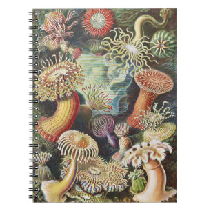 Caderno Espiral Anêmonas-do-mar de Haeckel Colagem de arte náutica