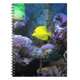 Caderno Espiral Angelfish amarelo