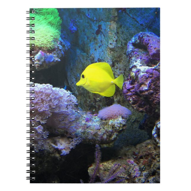 Caderno Espiral Angelfish amarelo (Frente)