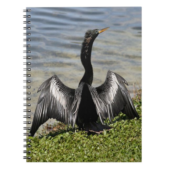 Caderno Espiral Anhinga Bird Notebook (Frente)