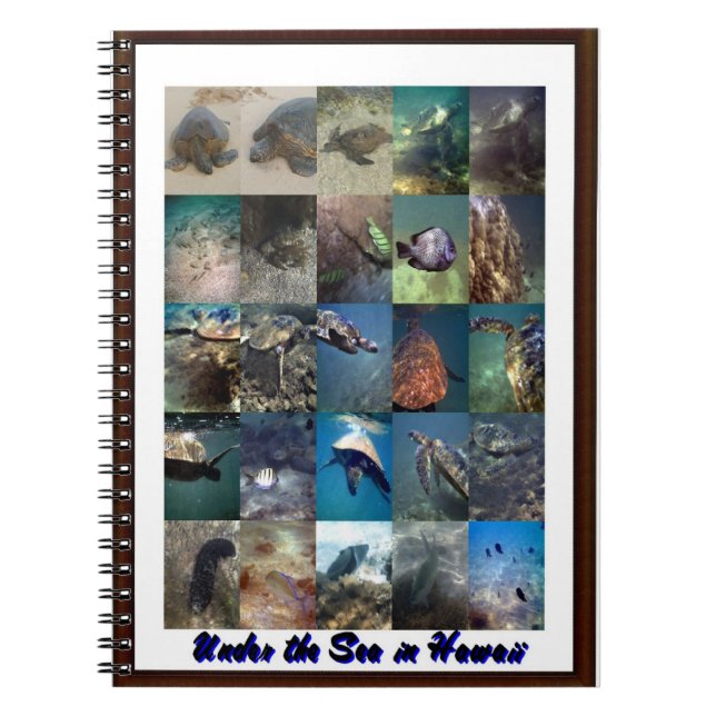 Caderno Espiral Animais do mar (Frente)