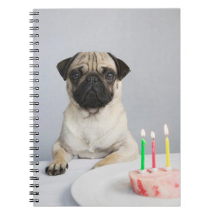 Caderno Espiral Aniversário Pug