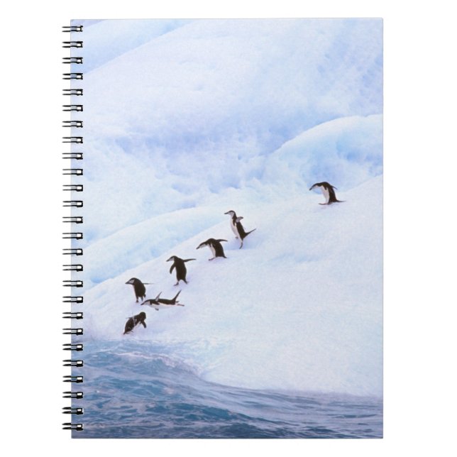 Caderno Espiral Antártica, Península Antártica. Chinstrap (Frente)