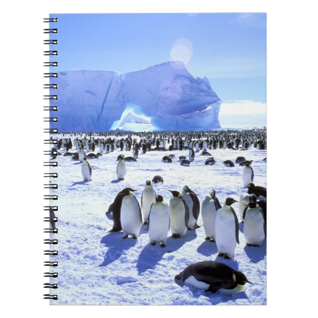 Caderno Espiral Antártica, Península Antártica, Mar Weddell, 5 (Frente)