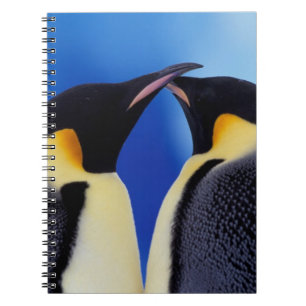 Caderno Espiral Antártida, Pinguins Imperadores