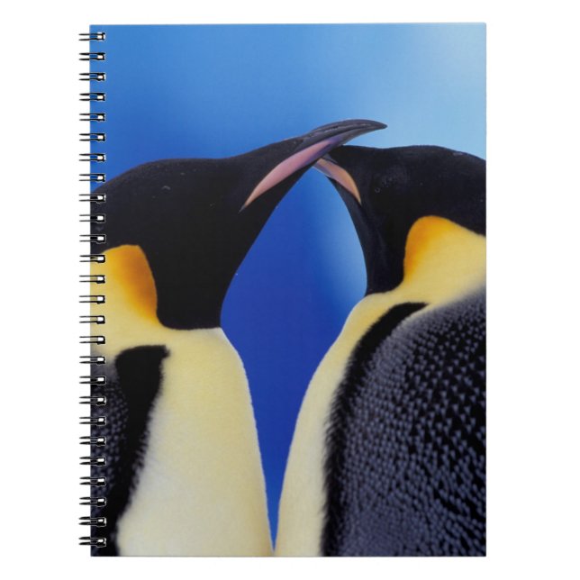 Caderno Espiral Antártida, Pinguins Imperadores (Frente)