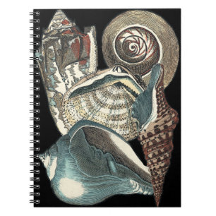 Caderno Espiral Anthologia Seashell