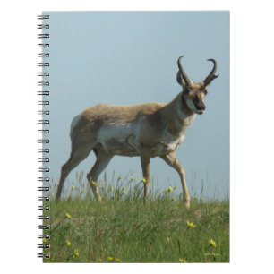 Caderno Espiral Antílope A10 Pronghorn Caminhando Entre Flores Sil