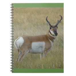 Caderno Espiral Antílope A1 Bighorn Buck