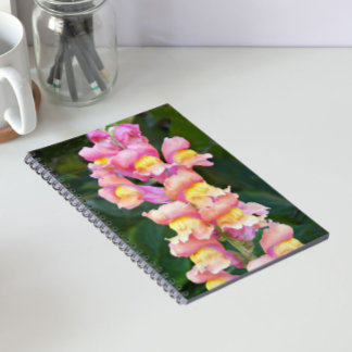Caderno Espiral Antirrhinums Florais Rosa e Amarelo