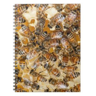 Caderno Espiral Apicultura na Arlo's Honey Farm