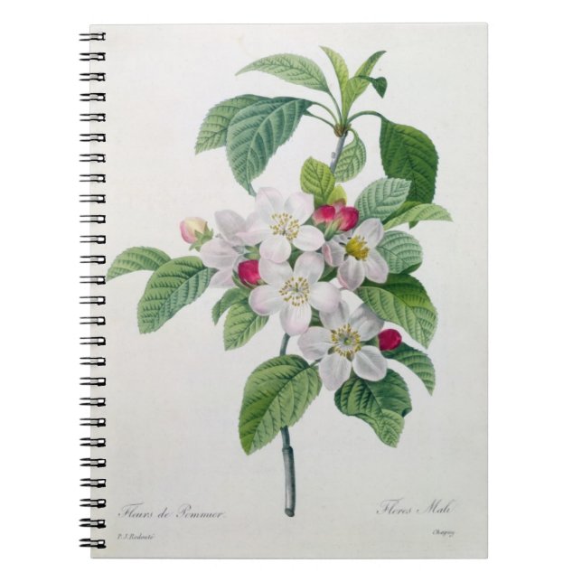 Caderno Espiral Apple floresce, 'do DES de Les Choix mais Belles (Frente)
